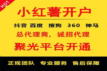 百度平台推广策略及成功案例解析
